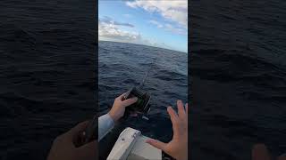Try THIS to catch BIG SNAPPER!! #fishingtips #snapper #fishing #fishingvideo #fishinglife #bigfish