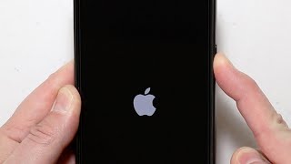How To Fix a Stuck/Frozen or Black Screen on iPhone 12, 12 Pro, 12 Mini, 12 Pro Max