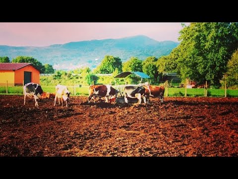 Abruzzo:Tirocinio dei diplomati Periti Agrari nel Dipartimento Agricoltura!