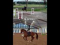 Sso vs. IRL Hanoverian Gaits 🐴