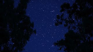Cricket U0026 Insects Chirping At Starry Night  Nighttime Ambience  10 Hours  Nature Sleep Sounds