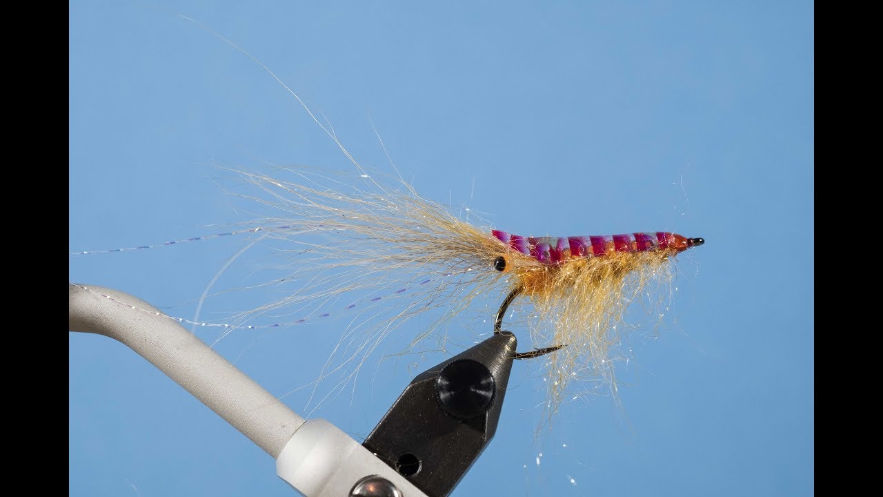 Fliegenbinden einer Garnelenfliege / Shrimpfliege Garnele für Meerforelle