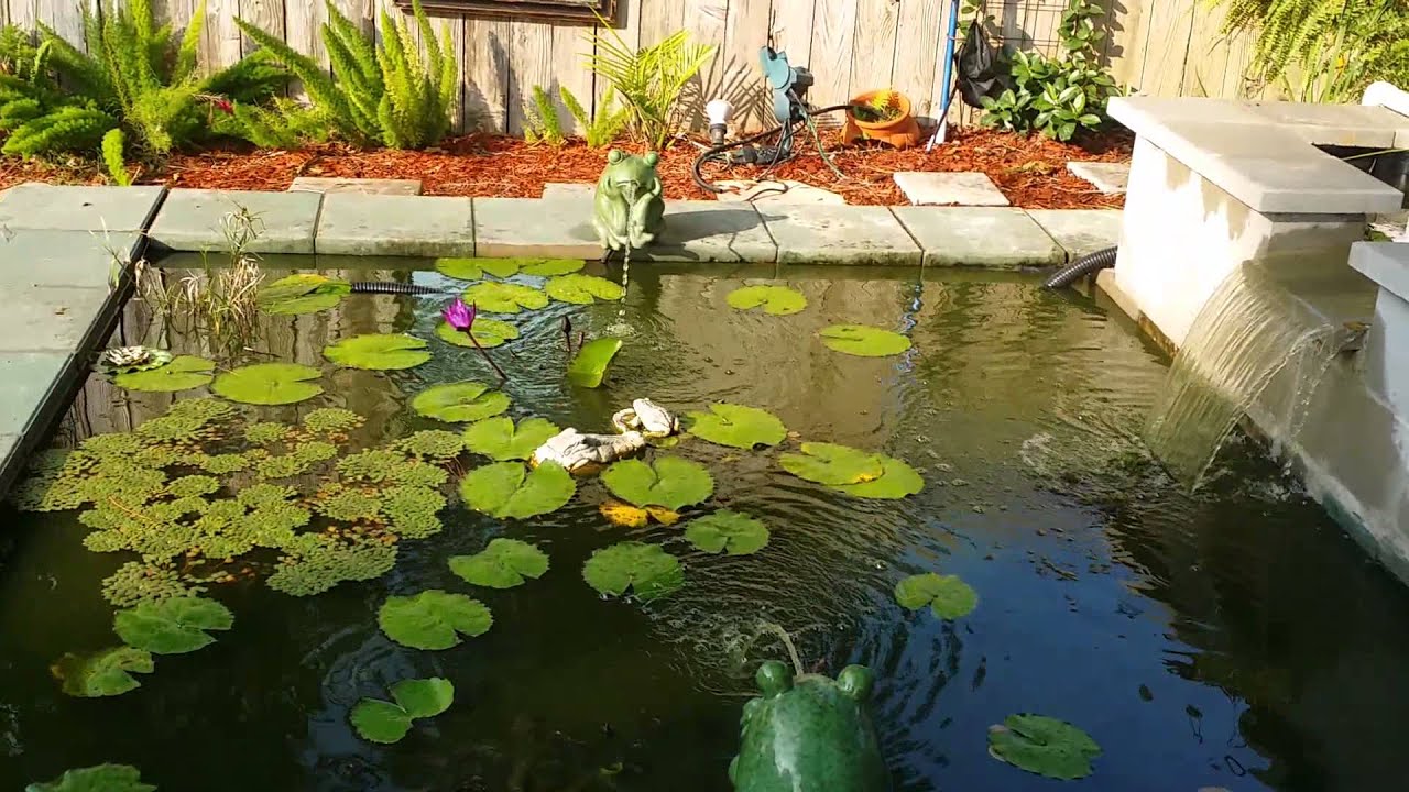 New pond and bog filter - YouTube