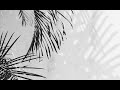 Gnarls Barkley ~ Crazy {Lyrics}