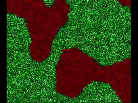Competitive Cellular Automata