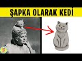 Avrupalıların Yaptığına İNANAMAYACAĞINIZ 8 Şey