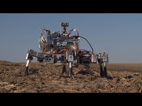 Топ автономных роботов для сельского хозяйства