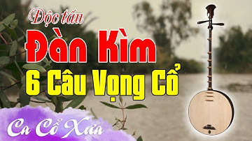 Đàn Kìm 6 CÂU VỌNG CỔ | Độc Tấu Đàn Kìm Năm Cơ