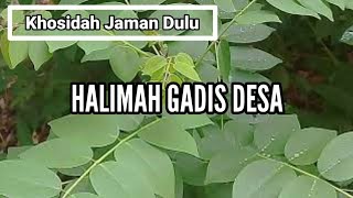 HALIMAH GADIS DESA