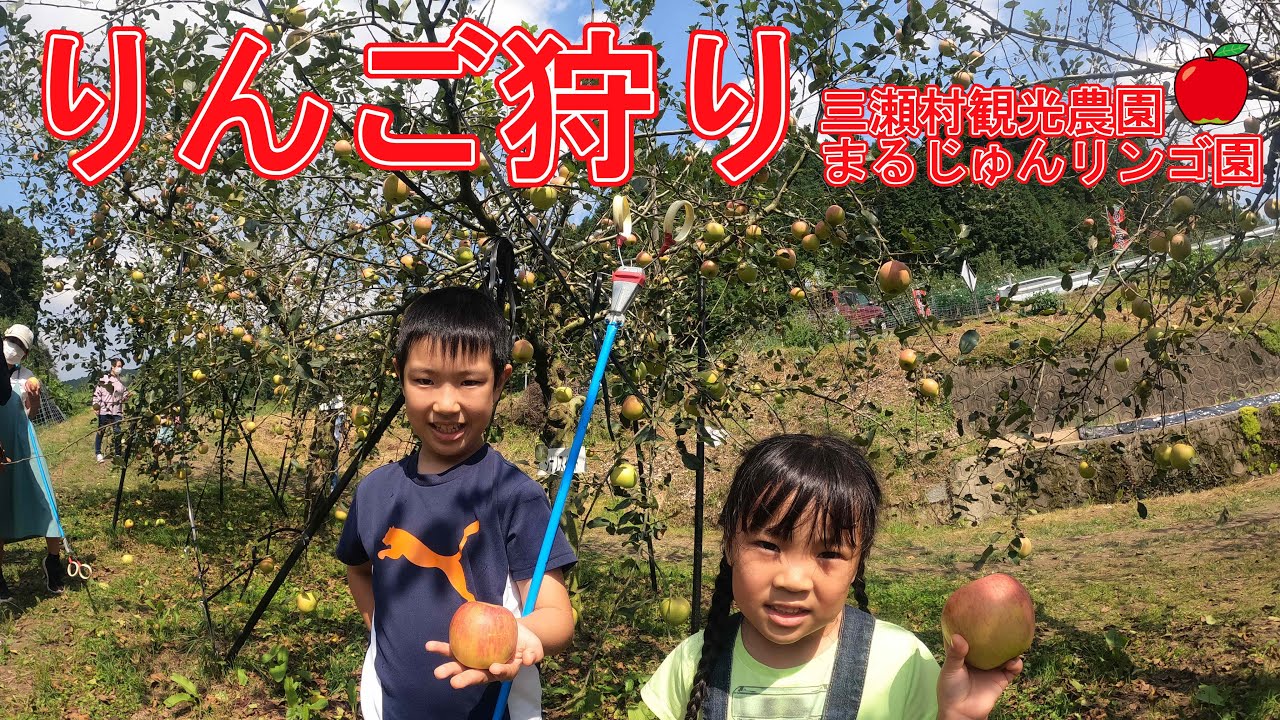 美味しいりんごが食べ放題🍎┃佐賀 三瀬 まるじゅんリンゴ園 りんご狩り