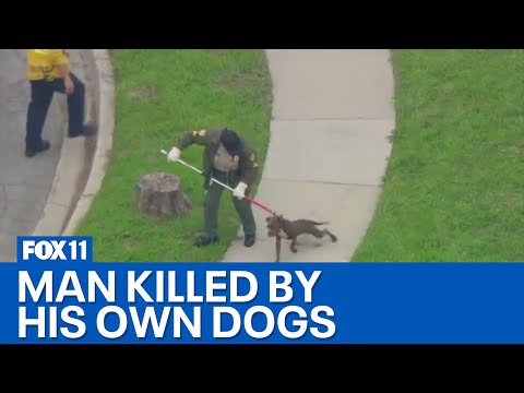 Compton man killed in dog attack may have been breeding pit bulls
