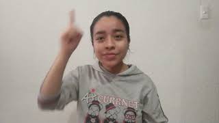 Mi Sueño Lengua De Señas Mexicana Lsm