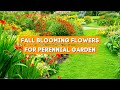 7 Best Fall Blooming Flowers for Your Perennial Garden 🌼☀️✨