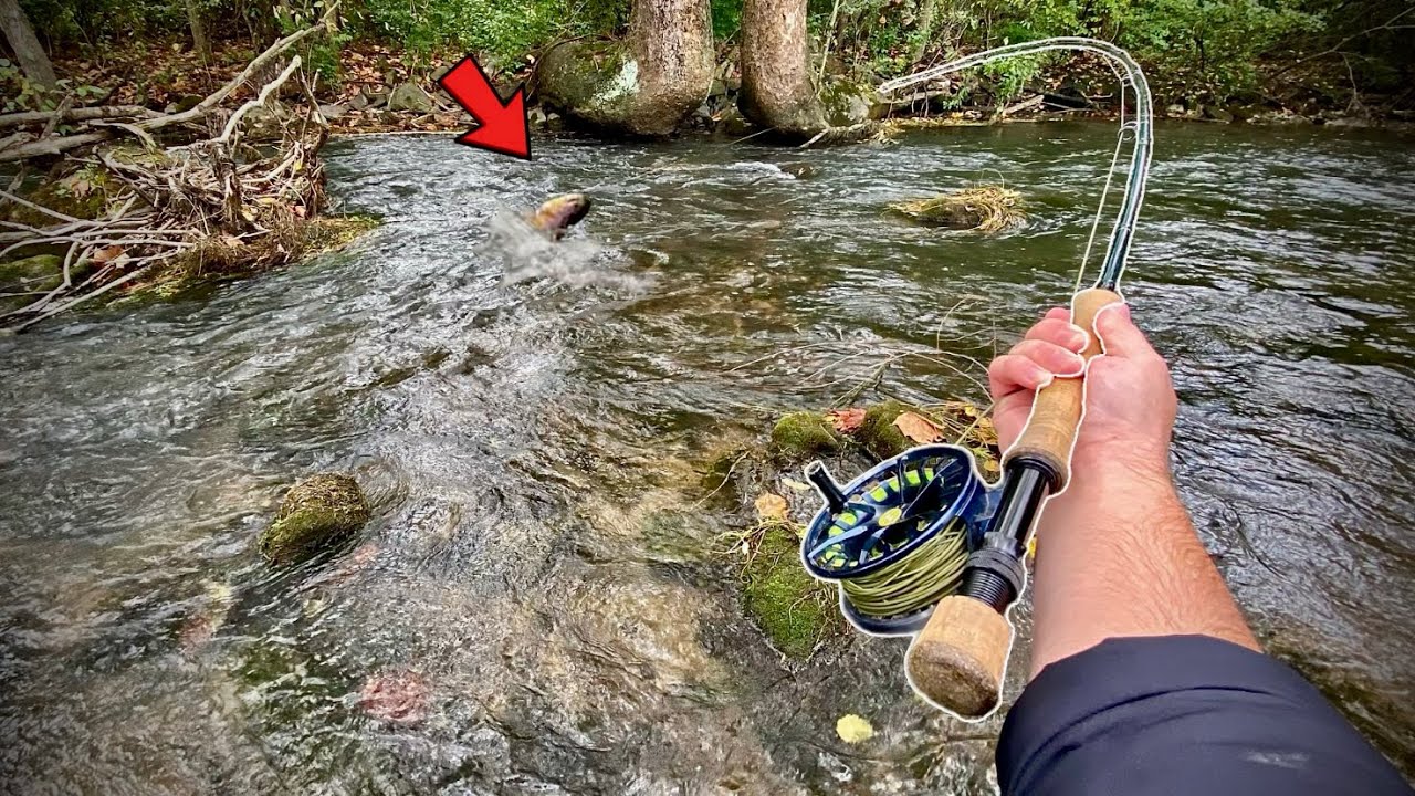 Осенняя рыбалка на стример для ловли трофейной дикой форели (приключение на целый день)