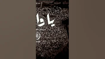 يا وحشني حفلة تامر حسني بدون موسيقي ١ 