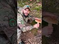 #карпати #природа # ліс#гриби#відпочинок 10.15.2025🌲🍄🟫🍁🍂