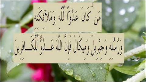 القران الكريم سورة البقرة الاية 98
