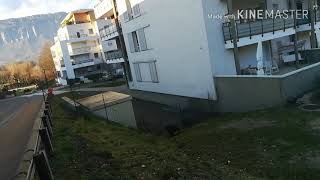 Démonstration Saut 2M50