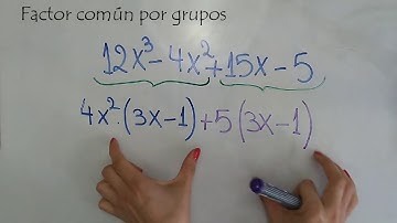 Factorización de polinomios. 2° caso. Factor común por grupos