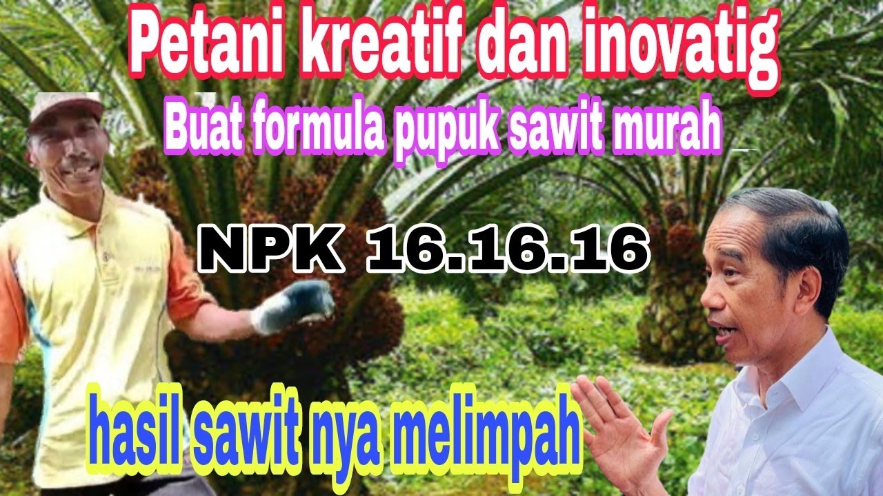 Pupuk mahal ngak masalah...ikuti Petani sawit inovatif dan kreatif..... petani sawit harus tau ini
