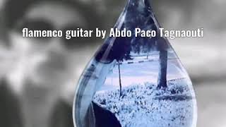 Flamenco Guitar By Abdo Paco Tagnaouti