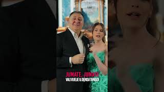 #florinpesterecords #manele2026 #valivijelie #denisatanigoi