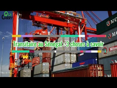 Transitaire au Senegal: 3 choses à savoir Selon Mr Youssou  Ndiaye (CEO de Ouicarry) - video from OuiCarry