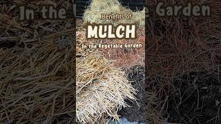 ☑️ Tip: Add mulch to your garden in the Fall to improve your crops next Spring mulching