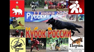 БРР Кубок России 13 июня 2021