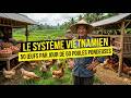 Un élevage de 50 poules pondeuses produisant 50 œufs par jour le système vietnamien