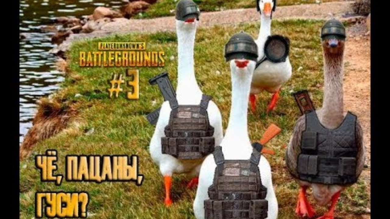 Военный гусь картинки