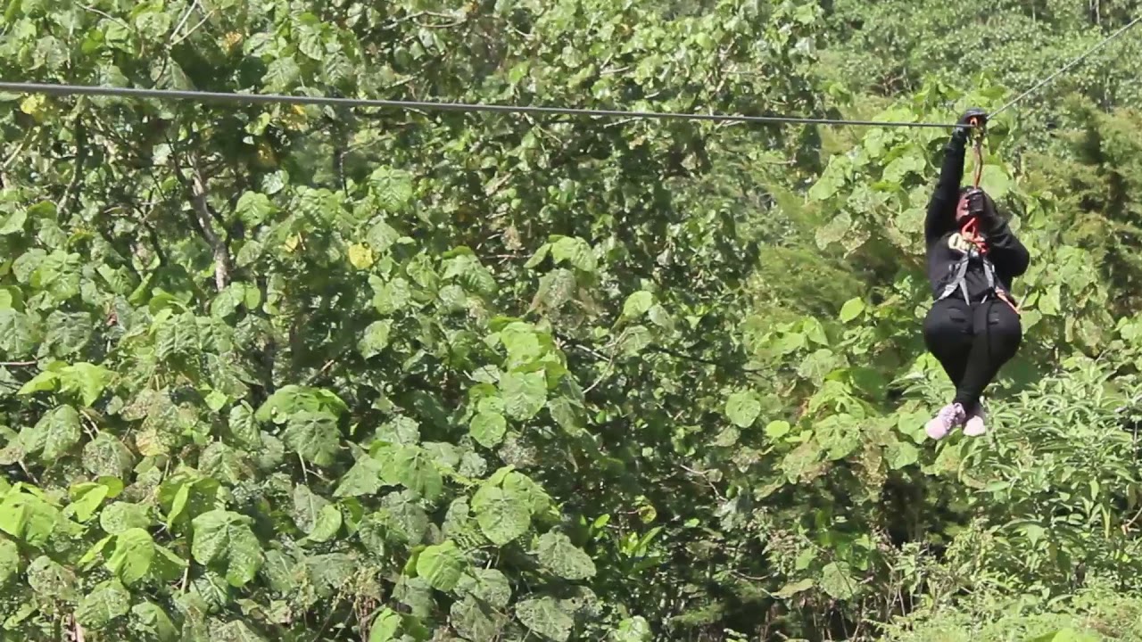 What Ziplining Above Kereita Forest Looks Like | Poriscape Safaris