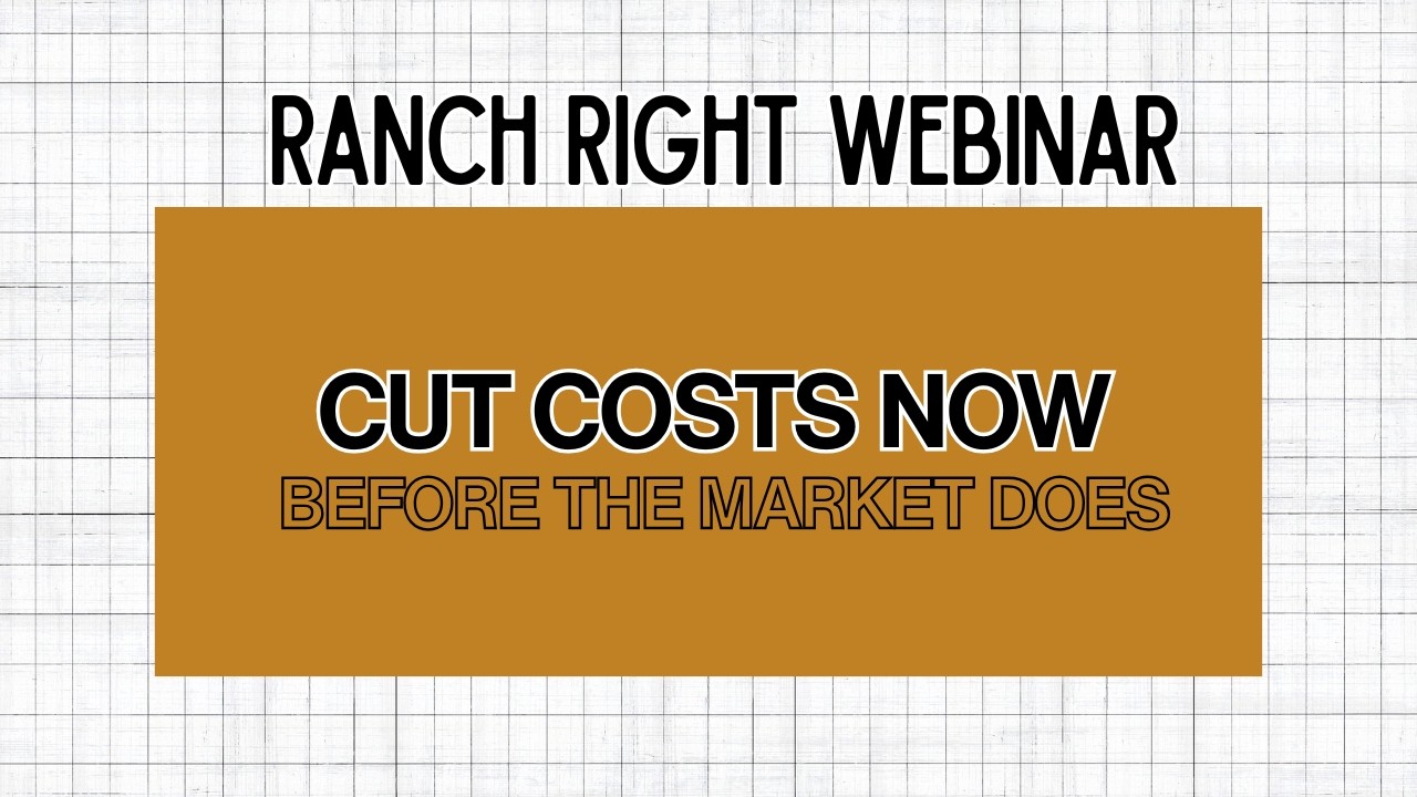 Leaner by Design: How to Audit and Optimize Expenses on Your Ranch Before the Market Does It for You
