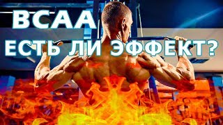 Аминокислоты BCAA. Работают или нет? Мифы или реальность?