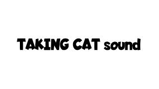 Talking Cat Sound