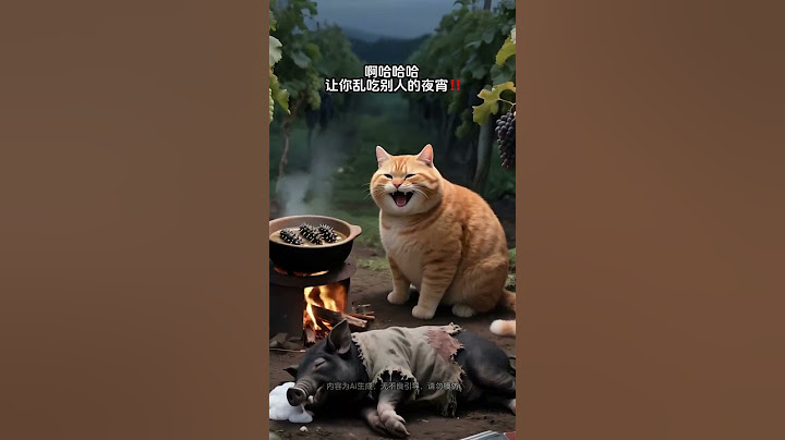 胖猫深夜炖海参，不料招来了山贼！#有趣 #分享 #动物 #猫咪 #狗狗