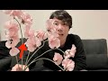 【ストレスケア】お花を飾ってリラックス【スイートピー】