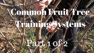 Fruit Tree Pruning  - Part 1 of 2
