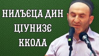 Нилъеца дин цIунизе ккола (кIвар цIикIкIараб кIалъай)