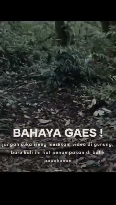 penampakan sesosok saat pendakian di gunung pada pagi hari| #shorts #pendakian #gunung #mistis