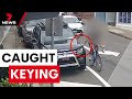 Cyclist caught on camera keying several cars in woolloongabba  7 news australia