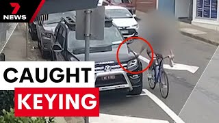 Cyclist Caught On Camera Keying Several Cars In Woolloongabba 7 News Australia