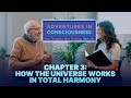 Chapter 3: Super Coherence &amp; Harmony | How Consciousness Shapes Relationships &amp; Leadership