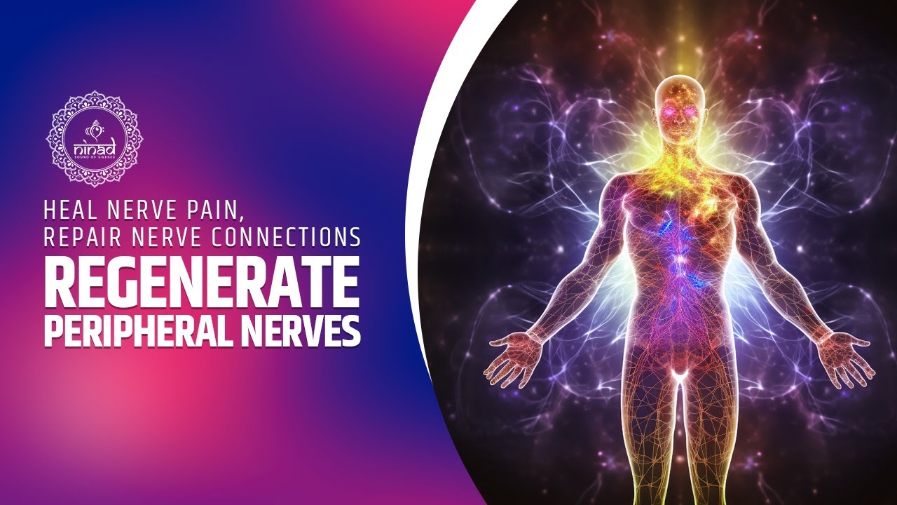 Regenerate Peripheral Nerves Binaural Beats Heal Nerve Pain Repair regenerate-peripheral-nerves-binaural-beats-heal-nerve-pain-repair