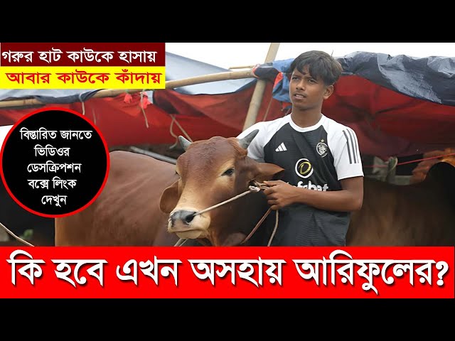 ঢাকায় কুরবানীর গরু ও ছাগলের হাট। আরিফুল যেভাবে অসহায় হলো। গাবতলী ও বসিলা গরুর হাট@MMTVBD2024