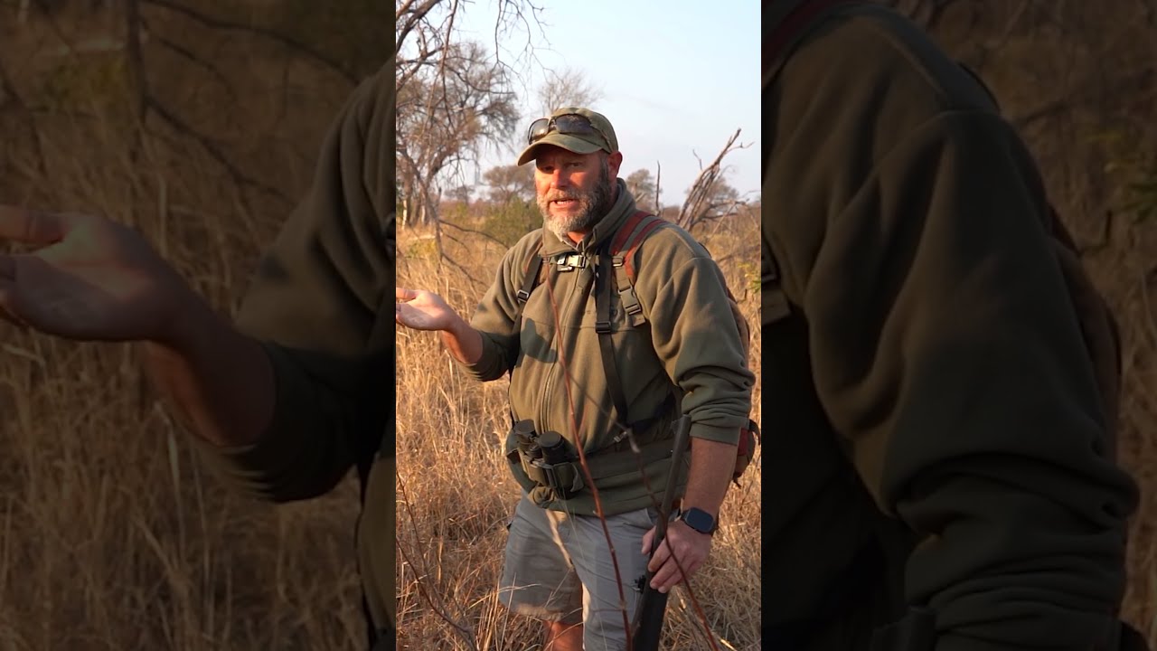 Do You Know Wild Cotton Is An Excellent Fire Starter On Foot Ep 22 L EcoTraining Shorts