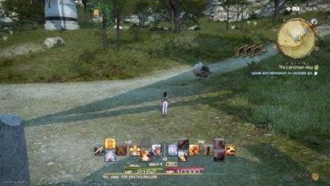 FFXIV - The Lominsan Way