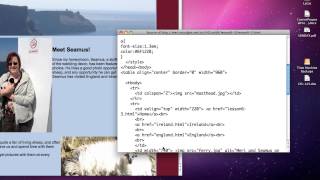 creating a table based site.mp4 Profile