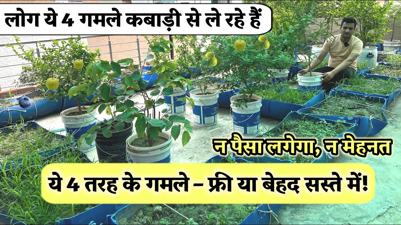 बाजार मत जाइए! गमले कबाड़ी से लाइए – ये 4 आइडिया बदल देंगे बागवानी का तरीका!