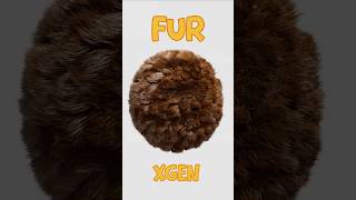 Maya + XGen = Fur + Wind